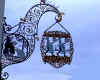 COLMAR11.jpg (104343 octets)
