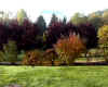 JARDIN.jpg (115193 octets)