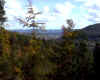 PAYSAGE.jpg (80650 octets)